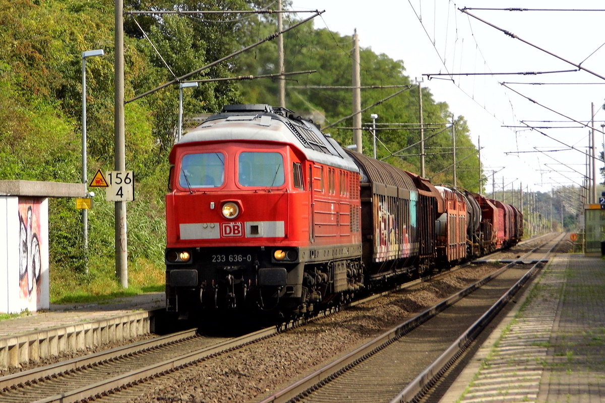 Am 05.09.2017 kam die 233 636-0  von   DB Cargo  AG, aus Richtung Magdeburg nach Wellen ( Magdeburg) und fuhr weiter in Richtung Braunschweig .
