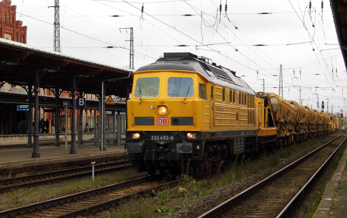 Am 10.11.2017 kam die 233 493-6   aus Richtung Magdeburg nach Stendal und fuhr weiter in Richtung Salzwedel .