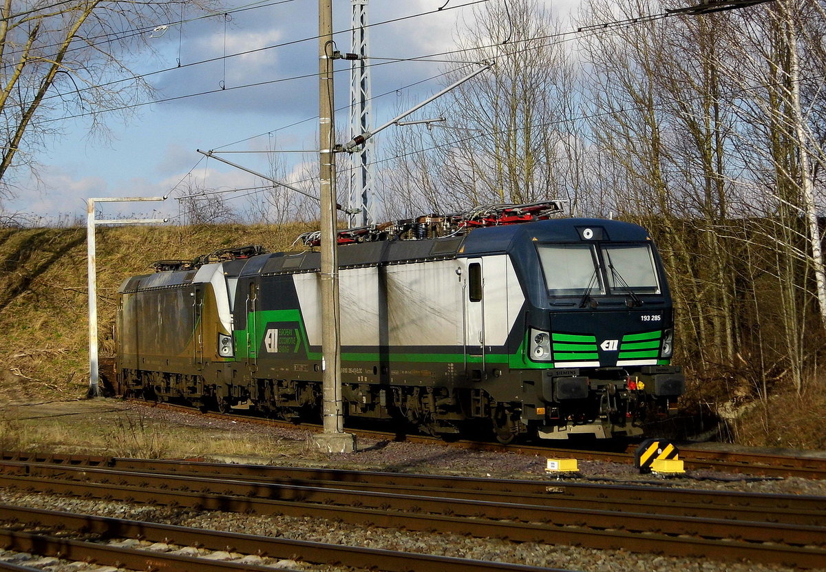 Am 13.02.2018 waren die  193 218-5 und 193 285-4 von der SETG (ELL) in Borstel abgestellt.
