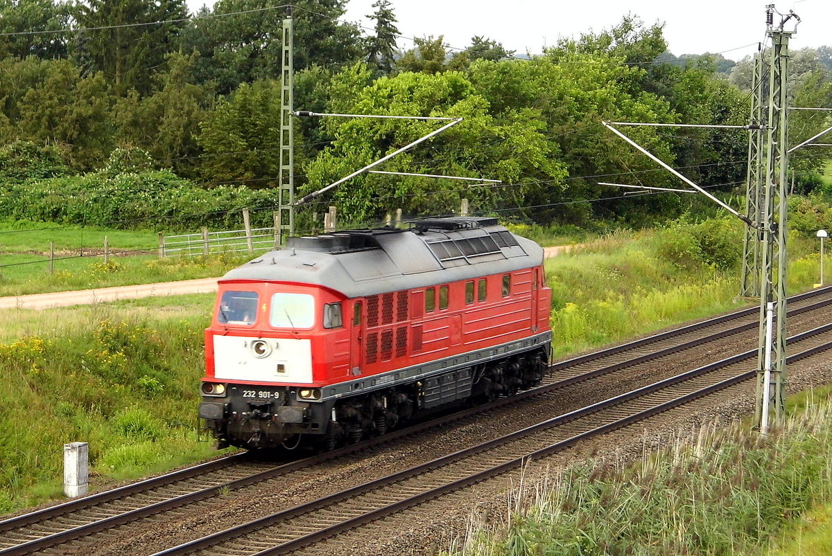 Am 15.08.2017 kam die 232 901-9 von der WFL - Wedler Franz Logistik GmbH & Co. KG, aus Richtung Braunschweig  nach Stendal .