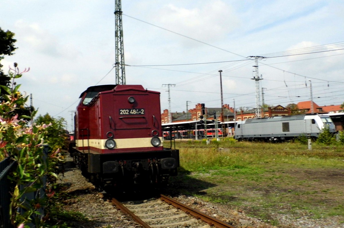 Am 16.08.2015 war  die  202 484-2 von der CLR in Stendal abgestellt . 