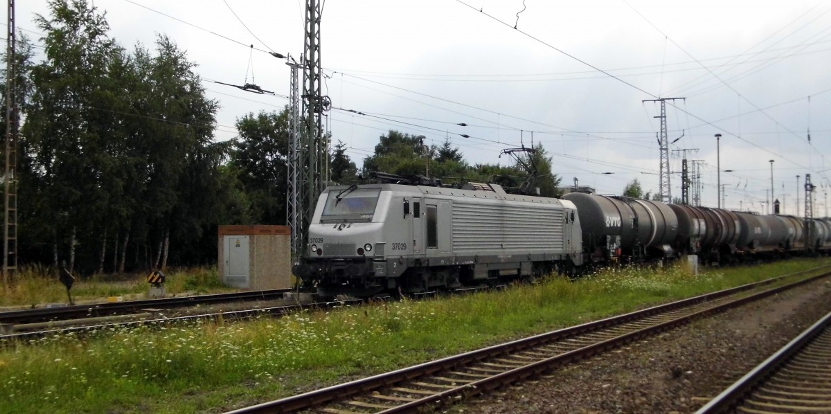 Am 22.07.2015 kam die 37029  von der ARKIM aus Richtung Salzwedel nach Stendal und fuhr weiter in Richtung Magdeburg .
