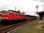 Am 14.11 .2015 kam die 233 510-7 von der DB aus Richtung Magdeburg nach Stendal und fuhr weiter in Richtung Hannover .