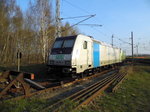 Am 10.04.2016 war die 185 681-4 von der SETG (Railpool) in Borstel abgestellt .
