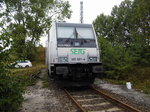 Am 02.10.2016 war die 185 681-4 von der SETG (Railpool) in Borstel abgestellt .