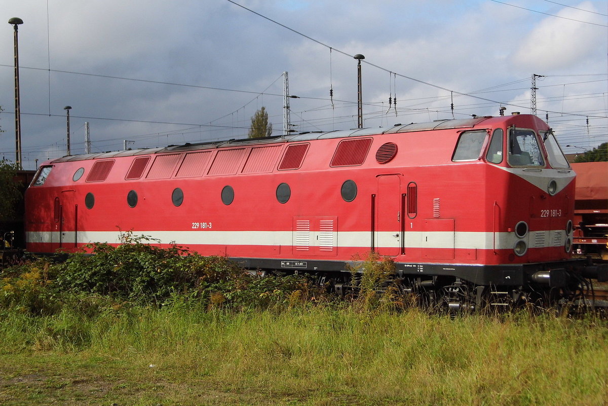 Am 01.10 .2017 war die 229 181-3 von der CLR-Cargo Logistik Rail-Service in Stendal abgestellt.