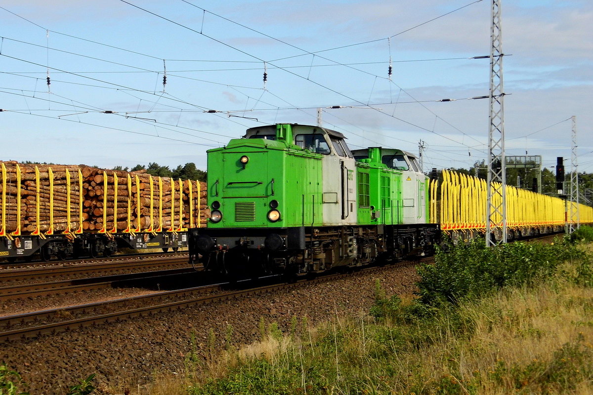 Am 05.08 .2018 fuhren die 202 494-1 und die 202 287-9 von der SETG von Niedergörne nach Borstel . 