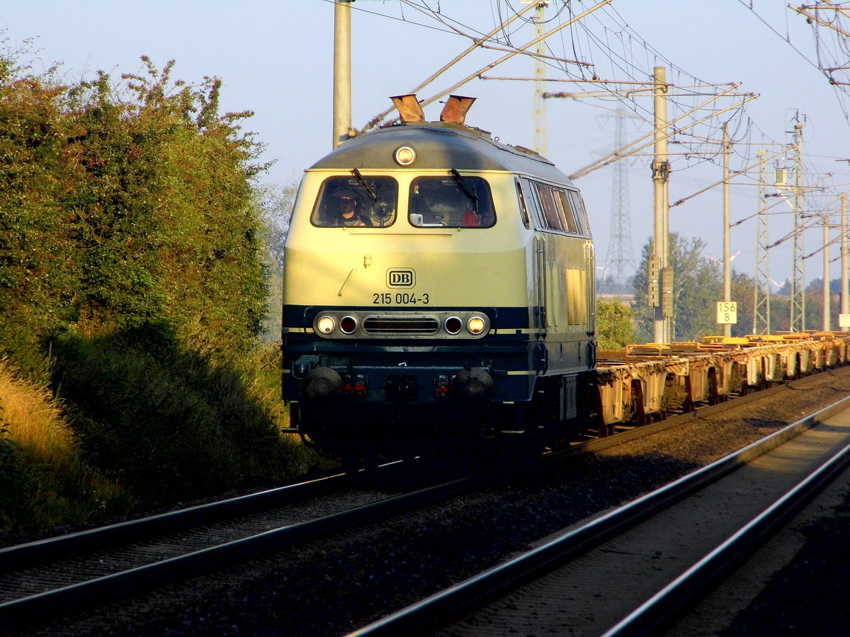 Am 05.09.2017 kam die 215 004-3 von der DB Railion Logistic   aus Richtung Braunschweig nach Wellen ( Magdeburg) und fuhr weiter in Richtung Magdeburg .