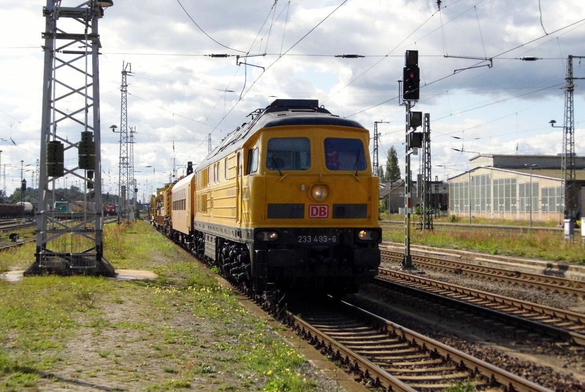 Am 07.09.2015 kam die 233 493-6 von der DB aus Richtung Hannover nach Stendal und fuhr weiter in Richtung Magdeburg .