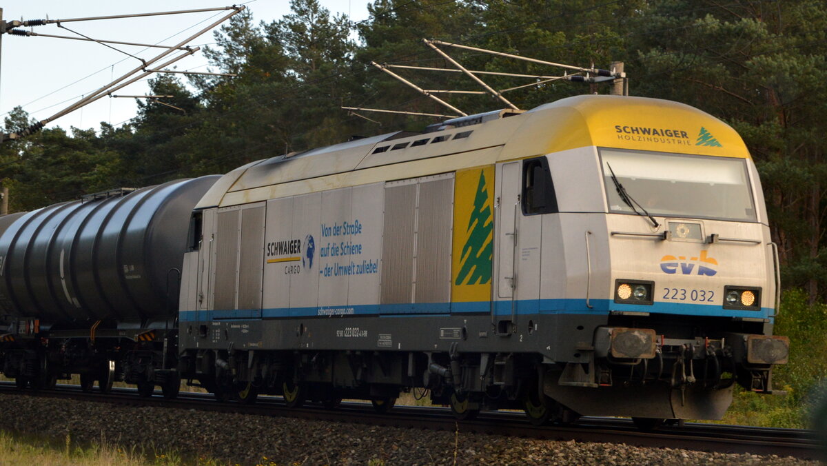 Am 13.10.2021 kam die 223 032-4 von der EVB  aus Richtung Berlin  und fuhr nach  Stendal .