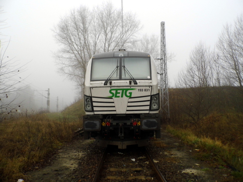 Am 25.11.2014 war die 193 831 von der SETG (ELL - European Locomotive Leasing, Wien )bei Borstel abgestellt .