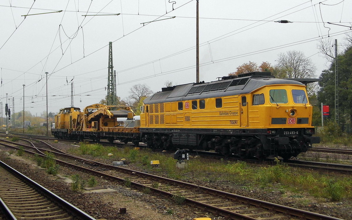 Am 28.10.2016 fuhren die 293 008-9 und die 233 493-6 von der Bahnbau Gruppe von Stendal nach Magdeburg.
