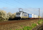 Am 19.04.2016 kam die   386 018-6 von METRANS aus Richtung Stendal und fuhr nach Magdeburg .