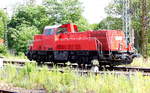 Am 17.06.2017 stand die  261 313-1 von der SGL - Schienen Güter Logistik GmbH, (Voith Lokomotivtechnik, eine Zweigniederlassung der Voith Turbo GmbH Co.