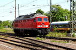 Am 27.05.2017 kam die  232 347-5 von der DB Schenker Rail Deutschland AG, aus Richtung Magdeburg nach  Stendal .