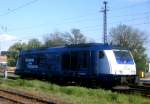 Am 14.05.2014 kam die 246 011-1 von der IGT aus der   Richtung Hannover und fuhr weiter in Richtung  Niedergörne .