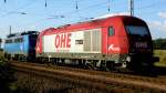 Am 9.08.2014 waren die 140 038-0 von der Press und die 223 101-7 (270080 )von der OHE Cargo in Borstel bei Stendal abgestellt.