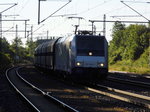 -br-6-185-private/502446/am-16062016-kam-die-185-689-7 Am 16.06.2016 kam die 185 689-7 von der  HSL Logistik (Railpool)  aus Richtung Magdeburg nach Niederndodeleben und fuhr weiter in Richtung Braunschweig .