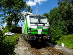 Am 11.06.2016   die 193 812-5 von der SETG (Railpool) in Borstel   .