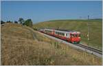 Der sogenannte  Schülerzug , bestehend aus dem ABt 375 (ABt 50 85 80 33 325-7), dem B 536 (B 50 85 2035 536-5 CH-TVYS) und dem TRAVYS RBDe 567 174 (94 85 7567 174-8)  Fleurier , ist als Regionalzug 6009 von Vallorbe nach Le Brassus kurz nach Les Charbonnières unterwegs. 

Es ist einer der letzten Planmässigen Einsätze des Zuges, mit dem neuen Fahrplankonzept der PBr wurde die Komposition überflussig.
Leider war der ABt und der B bereits verschmiert, das  Gesamtwerk  wurde aber durch die Bildbearbeitung seiner Aussagekraft beraubt. 

21. Juli 2022 
